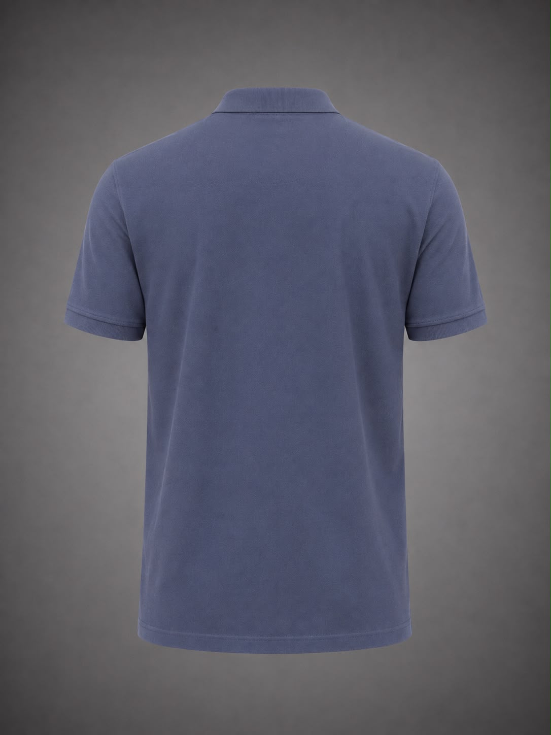Blue Solid Polo T-Shirt